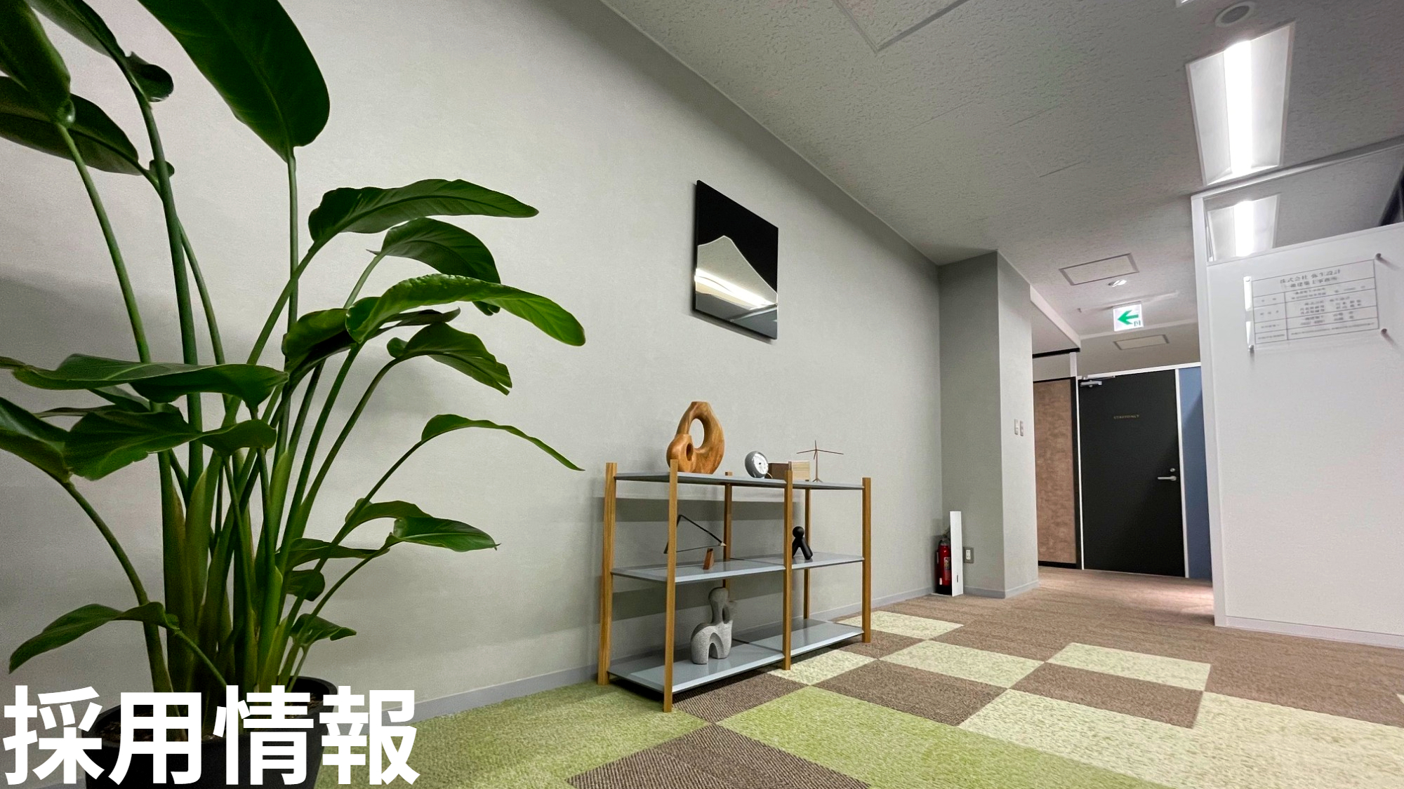 採用情報